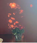 Photos de Les Hauts d'Arbois n°13