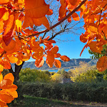 Photos de Camping Verdon La Source n°16