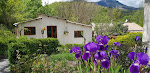 Photos de Maison Castellane Chambre d’Hotes B&B n°8
