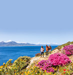 Photos de Feriendorf Störrischer Esel n°6