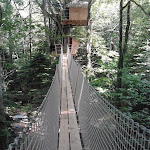 Photos de Château de Kermenguy - cabanes dans les arbres n°9