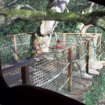 Photos de Château de Kermenguy - cabanes dans les arbres n°15