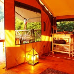 Photos de Château de Kermenguy - cabanes dans les arbres n°16