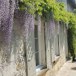 Photos de La Loge du Grand Cèdre, chambre d'hôtes et gîte, Saintes n°12