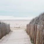 Photos de La Loge du Grand Cèdre, chambre d'hôtes et gîte, Saintes n°19