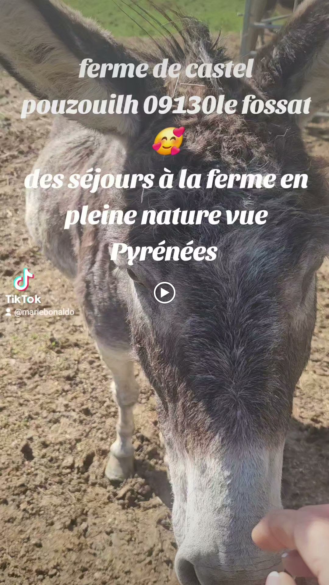 Photos de Ferme de castel pouzouilh n°9