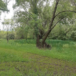 Photos de Camping La Folie n°4