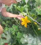 Photos de Camping La Folie n°8