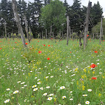 Photos de Camping La Folie n°10