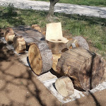 Photos de Camping La Folie n°12