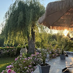 Photos de Les Trois Roses n°4