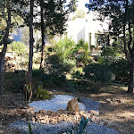 Photos de Villa Lucienne n°6