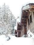 Photos de Chalets Grands Montets n°18
