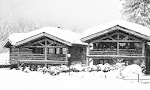 Photos de Chalets Grands Montets n°20