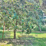 Photos de Chambres d'hôtes Cazouls-d'Hérault n°8