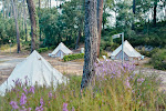 Photos de Cocooning Tipi - Seignosse n°18