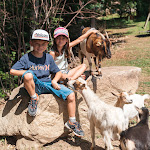 Photos de LA COMBE FLEURIE n°9