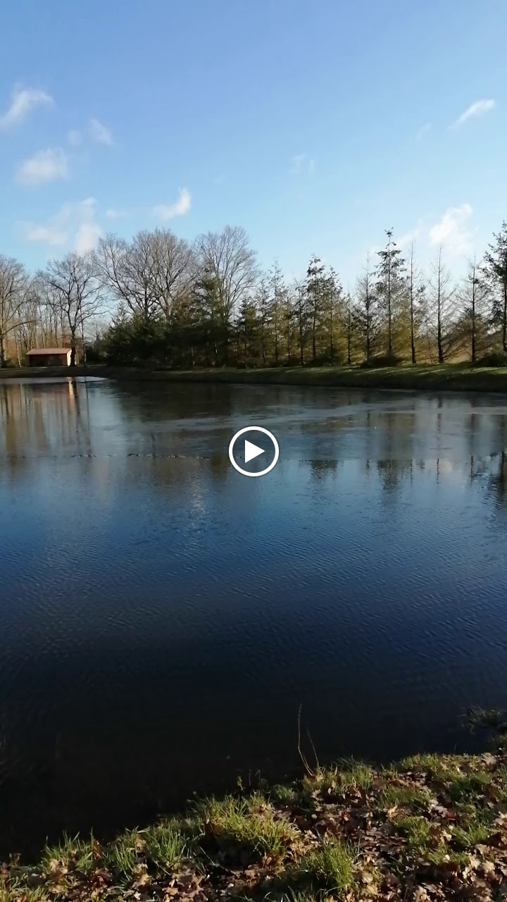 Photos de Les 5 Etangs n°3