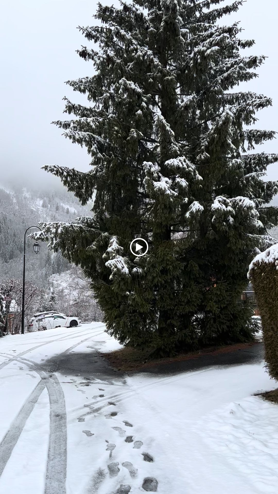 Photos de Chalet le trappeur n°6