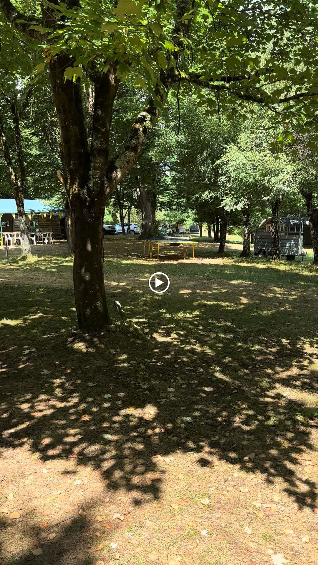 Photos de Camping L'Ecureuil n°3