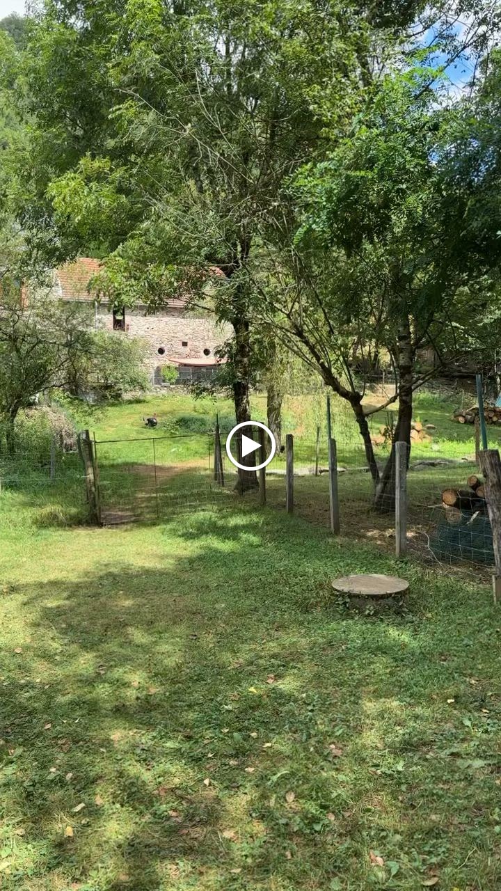 Photos de Camping L'Ecureuil n°21