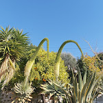 Photos de Les Mimosas B&B - chambres d'hôtes Menton n°14