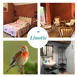 Photos de La Parenthèse Slow n°19