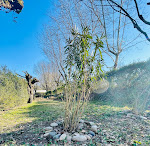 Photos de camping Beaussement n°8