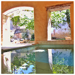 Photos de La Vigneronne des Costieres n°11