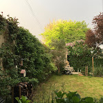 Photos de Le Grand Arbre n°7