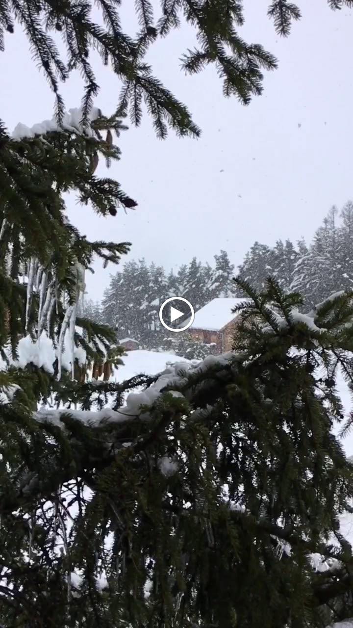 Photos de Chalet le Lagopède - La Joue du Loup Dévoluy n°16