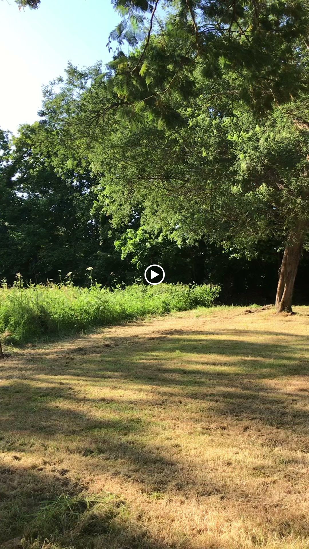 Photos de Bretagnehäusle n°9