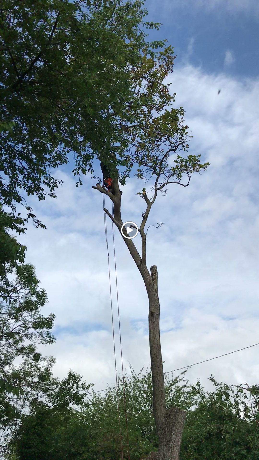 Photos de Bretagnehäusle n°15