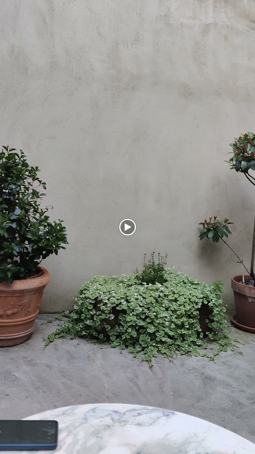 Photos de LA COUR CARREE n°3