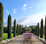 Photos de Mas La Pomarède n°14