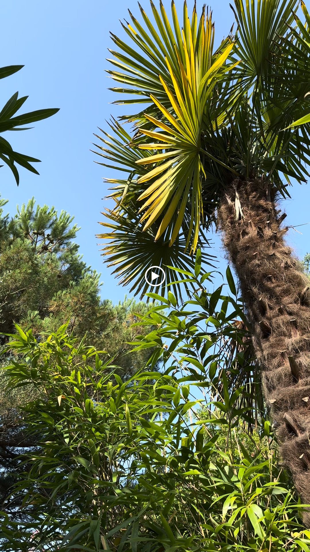 Photos de Chambres d'Hôtes La Cabane de Pomme de Pin n°9