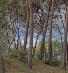 Photos de Hôtel le Mas des Ecureuils n°5