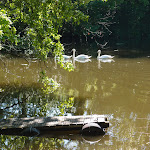 Photos de Les Berges de l'Estournel n°7