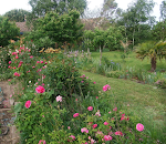 Photos de Villa Léa - Chambres d'hôtes n°16