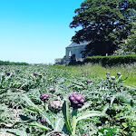 Photos de Les Gîtes Kerdoel insolites, artistiques et écologiques n°14