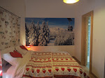 Photos de Chalet Arpitan - Les Carroz - Grand Massif n°17