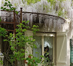 Photos de Chambres d'Hôtes Jardin D'Ivoire n°2