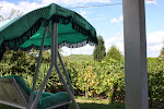 Photos de Gîte Agape : location chalet rural de charme, séjour 2 personnes, route des vins (Alsace) n°5