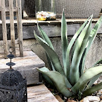 Photos de Chambre et table d hotes chez Dom n°4