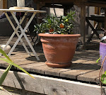 Photos de Chambre et table d hotes chez Dom n°6