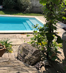 Photos de Chambre et table d hotes chez Dom n°9