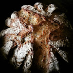 Photos de Villa Louis n°15