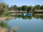 Photos de Studios étape du Lac n°6