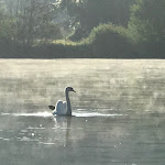 Photos de Your luxury stay on the Seine n°15