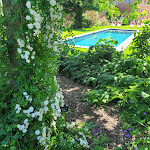 Photos de Les Myrrophores M1712 - Chambres d'Hôtes et SPA n°13